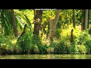 Opening To Bears 2014 DVD