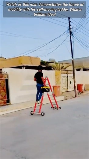 Self-moving ladder genius.