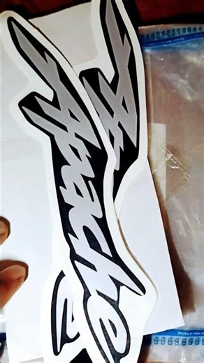 Apache Logo Sticker Modification 🔥 | Unique Bike Sticker Idea | Under Budget Customization