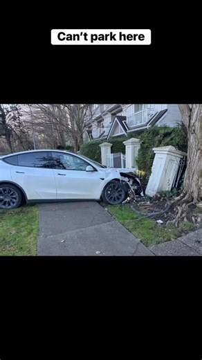 Eman on Instagram: "Winter wonderland"