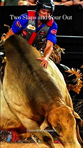 Bull Riding - (Touros Puladores) Brazilian Rodeo #rodeo #bullriding #cowboys