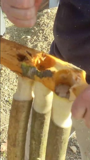 How to Build a Rustic Outdoor Bench with Limited Tools: DIY Made Easy