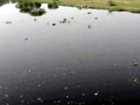Toxic Satluj to be cleaned