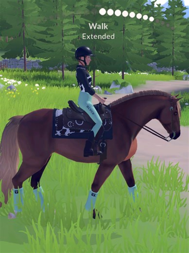 Exciting Western Equestrian Game Insights