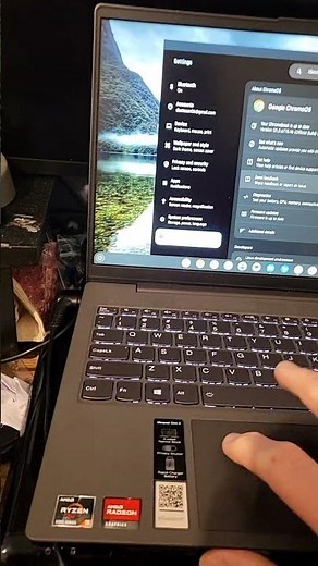 Running Chrome Os Flex on a Gaming laptop via Chrome remote desktop