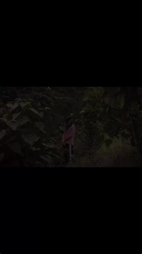 Renejaide's Face Reveal and Vlog Highlights