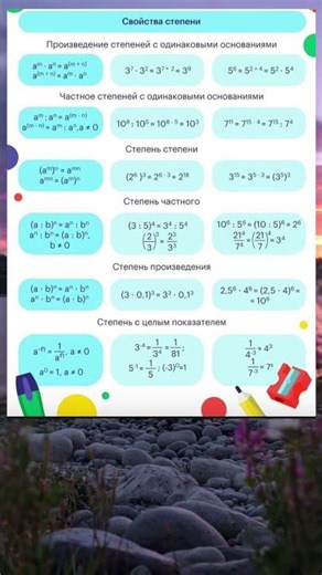 Ставь лайк, если видео было полезным! 👍