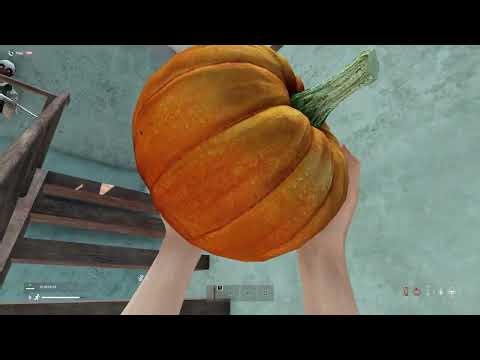 The Blairsville negotiation ~ A DayZ Story