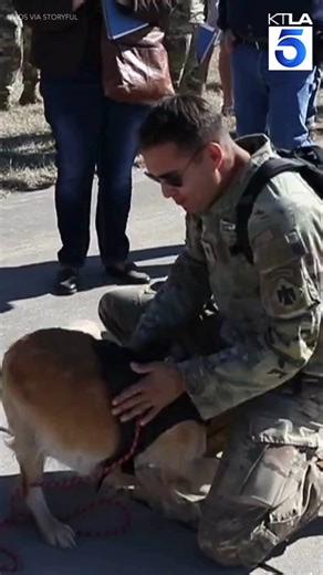 21K views · 413 reactions | Dog Overjoyed to Reunite With National Guardsman After 10-Month Deployment | KTLA 5 News | Facebook