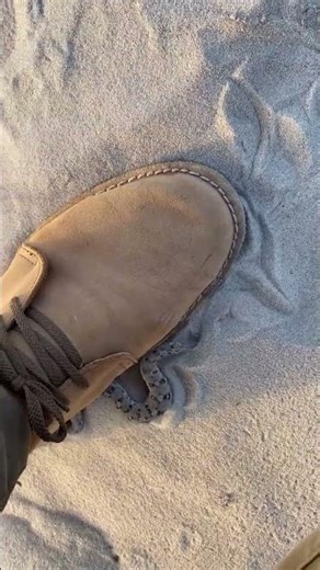 What's the SMALLEST Viper in the World? #shorts