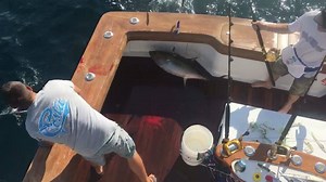 7.5K views | Blue Runner Sportfishing on Reels | Facebook