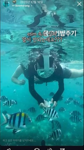 Recommended eSIMs for Cebu travel✈️Dokkaebi Roaming eSIM installation method and review