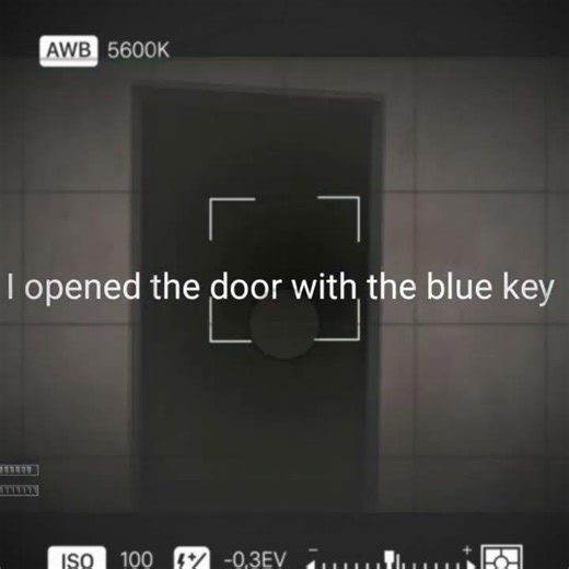 scp 860 the blue key