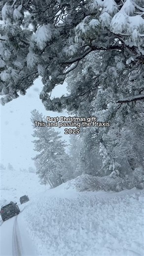 Passing the Praxis for Speech Language Pathologists