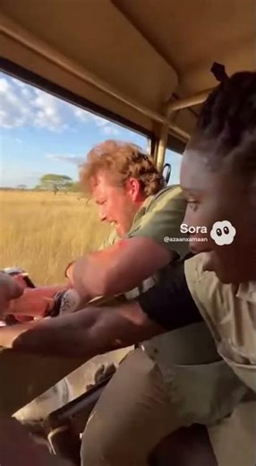 Tiger Attacks In The Safari Van🐅 #ai#lion #safarijeep #animals #sora #tiger #tigerattack