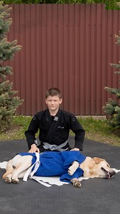Елизаров Богдан on Instagram: "Breadcutter choke with side control position. Хлеборезка с положения сайд контроль🤙🏽🤣 Лабрик из «солнечного дома» @rockstarvl 🤙🏽 #ajprussia #rgsa_eurasia #ajptour #strelateam #bjj #dog #bjjdog #bjjasia #bjjbaseballbatchoke #zaklabrik #kudorussia #kudo #labrador #labradorretriever #dogsofinstagram #labrador #labrador_retriever #fairtex #fairtexthailand #zakgrappler #bjjkidsclass #breadcutterchoke #ufc #ufcbjj #wrestling"