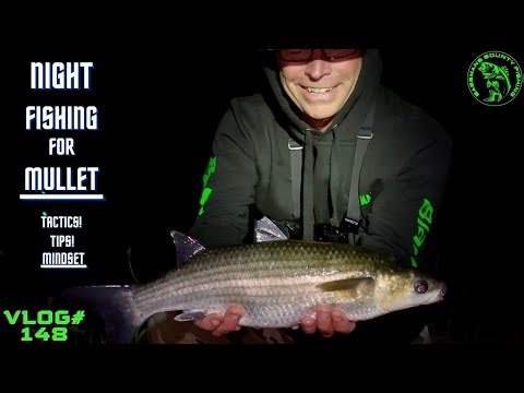 Night Fishing For Mullet | After Dark Madness |TIPS!-TACTICS!-MINDSET! -FULL MOVIE-Vlog#148