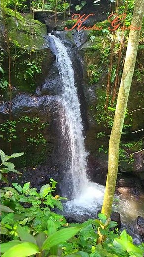GOA GAJAH (ELEPHANT CAVE) WATERFALLS, BALI, INDONESIA.