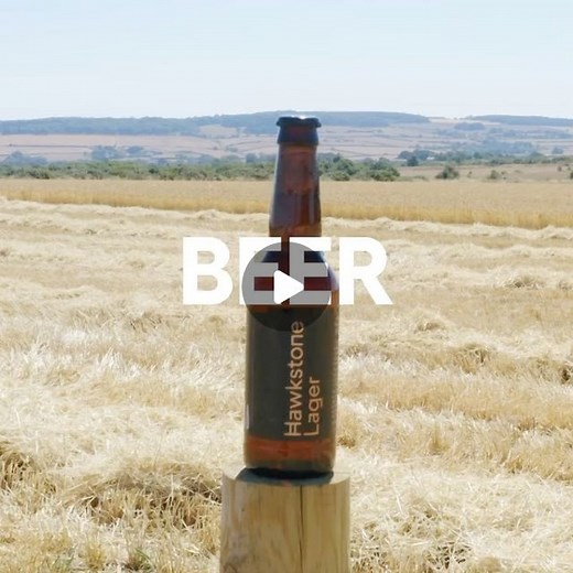 Hawkstone on Instagram: "The spring barley is in…and ready to become your delicious Hawkstone lager…"