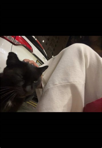 Cómo se dice 'gracias' en español