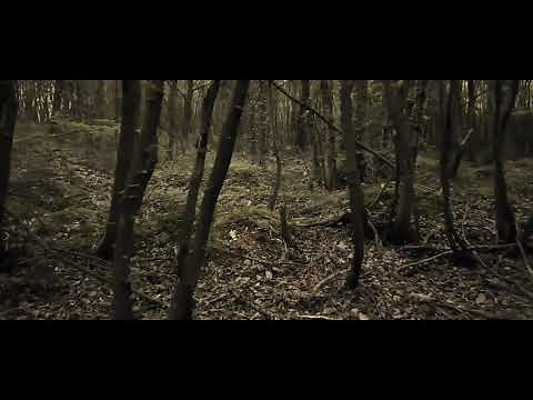 Tense Horror Music No Copyright Loop "Scary Forest"