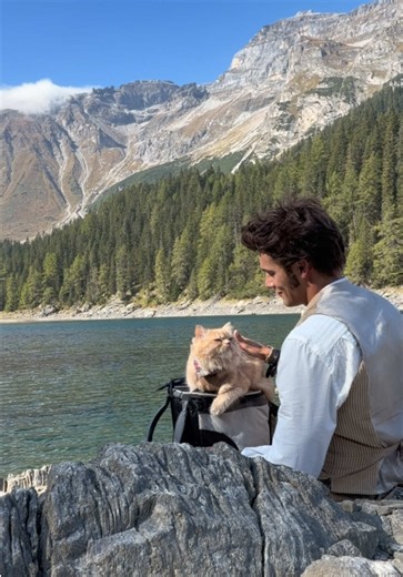 Best Lakeside Nature Spot for a Relaxing Cat Adventure
