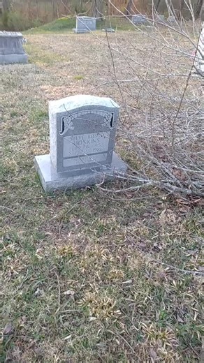 Tree Cutting at Pine Hill Cemetery