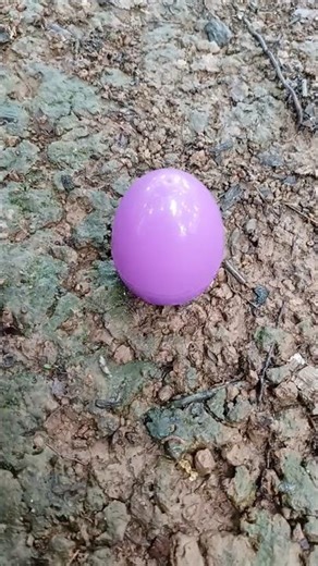 new small purple egg #egg #eggs #horror #creepy #scary