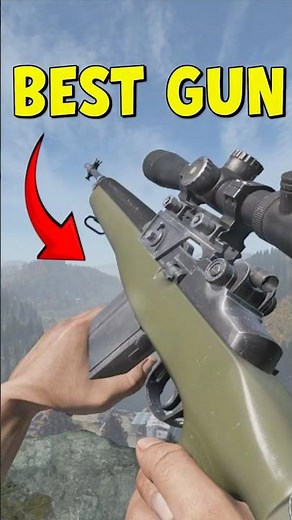 Is The VSD Better Than The DMR✅