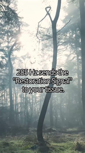 Restore Your Nervous System: 285 Hz & 528 Hz (The Repair Duo) 🔋