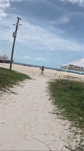 Cancún: The Only Paradise Without Sargassum #mexico