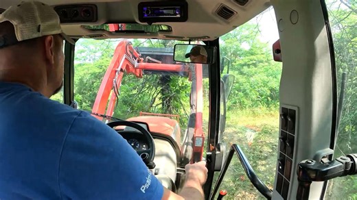 Can a compact tractor take down a locust tree? Farm experiment