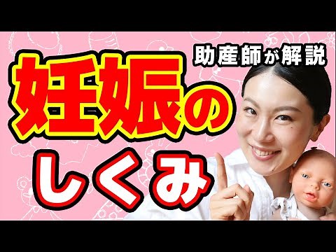 「赤ちゃんってどうやってできるの？」子どもと一緒に妊娠のしくみを学ぼう！