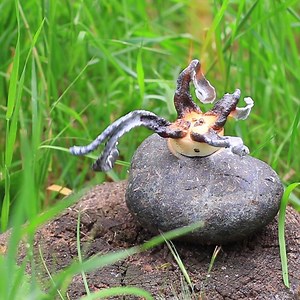 162K views · 1.2K reactions | Experiments To Do At Home. DIY Science...