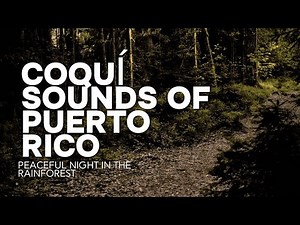 Coquí Sounds of Puerto Rico 🌿 Peaceful Night in the Rainforest 🎧📚🌎