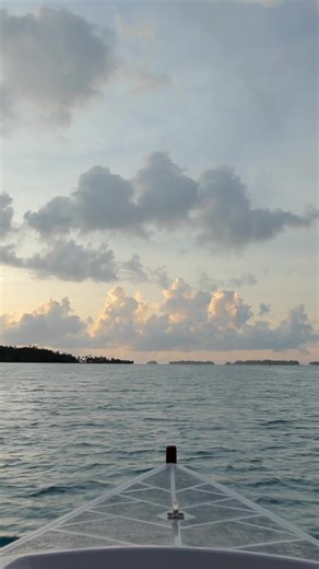 Give what matters—health, not stuff. Gift Function: https://utm.io/functiongifts | Function Health