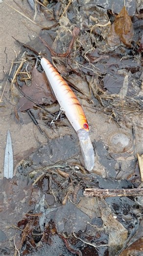 Lure Hunting 101 Check the Strand Line