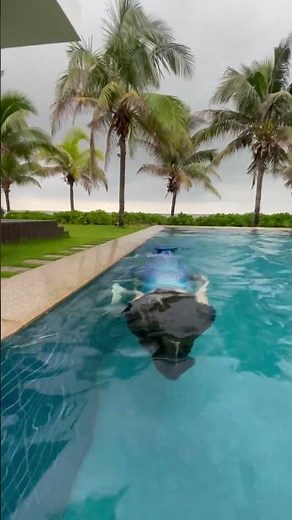 How To Take A Mermaid Swimming Course