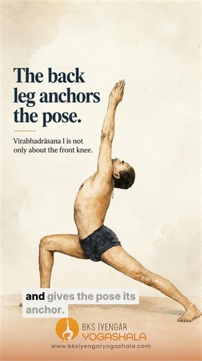The back leg holds it