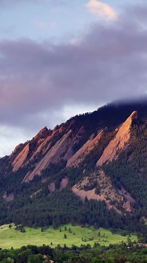 Justin Morgan on TikTok