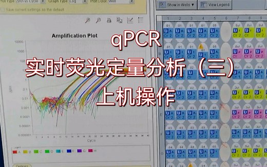 生物学小白不容错过~实时荧光定量PCR（Q-PCR）实验全流程（三）8连排上机操作！