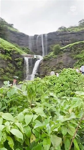 Luxury Meets Nature at Touchwood Bliss, Igatpuri | Monsoon Escape with Stunning Views
