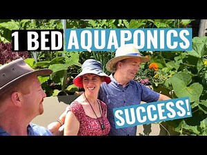 Simple DIY Aquaponics System design- 1 bed IBC for family food security.