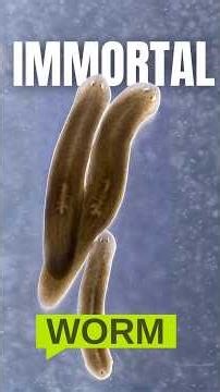 The Animal That Refuses to Die #animals #wildlife #nature