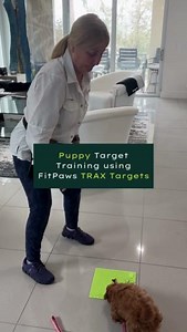 181K views · 1.5K reactions | Happy National Puppy Day!  Training...