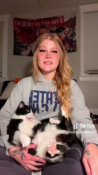 Funny TikTok cat (@funny.tiktok.cat)’s videos with original sound - Funny TikTok cat