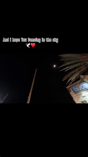 I Hope you Dancing in the sky grandpa🕊️❤️#fy#viral#2026#grandpa