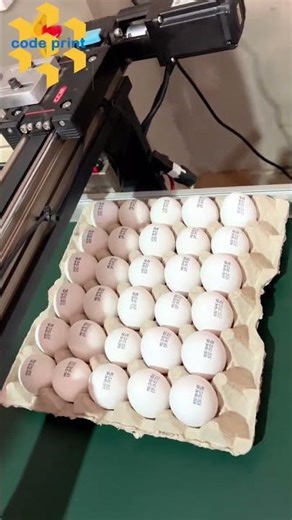 Automatic Egg Print Machine for Date and Expiry Print