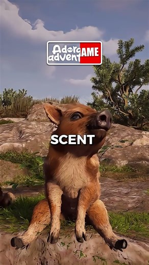 New Cozy Open World Adventure PC Game on Steam - Adorable Adventures