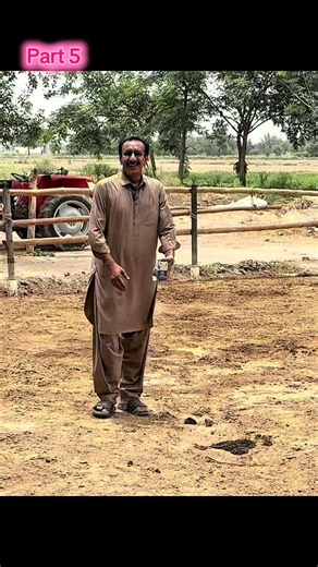 Dairy Farming Tips Part 5 | Hamid Dairy Tiku